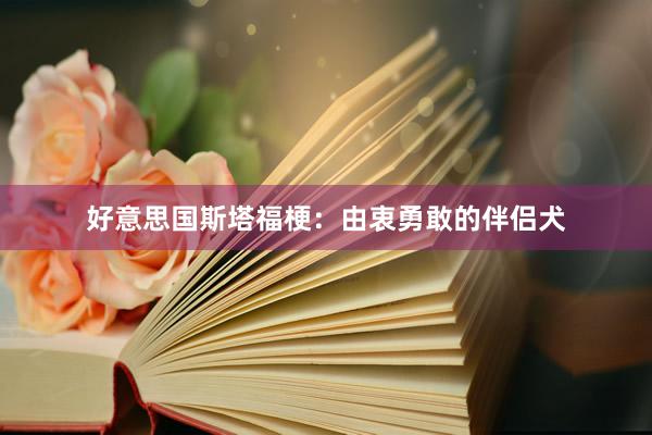 好意思国斯塔福梗：由衷勇敢的伴侣犬